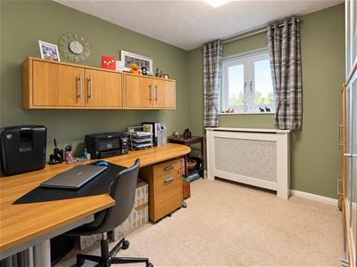 Picture 17